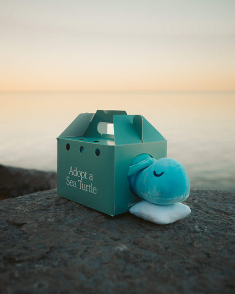 Sea Turtle Plushie