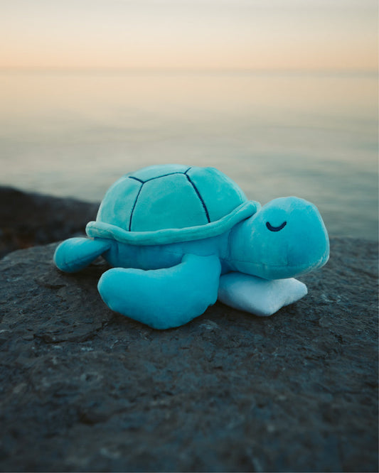 Sea Turtle Plushie